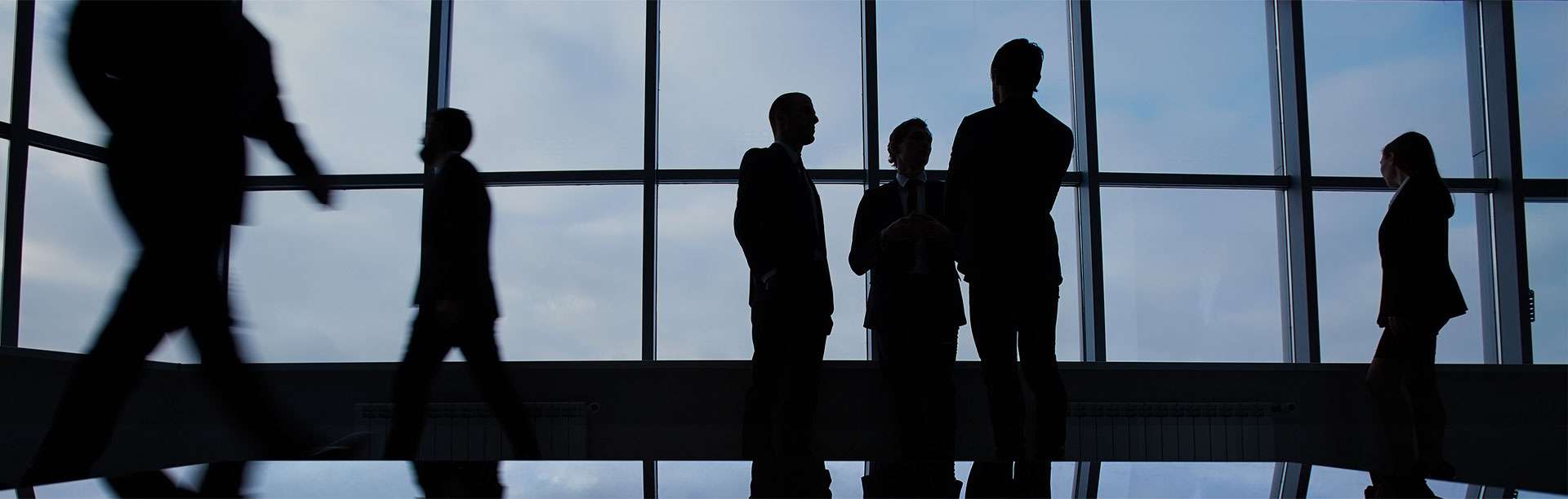 全方位关注客户
 以专业胜任服务